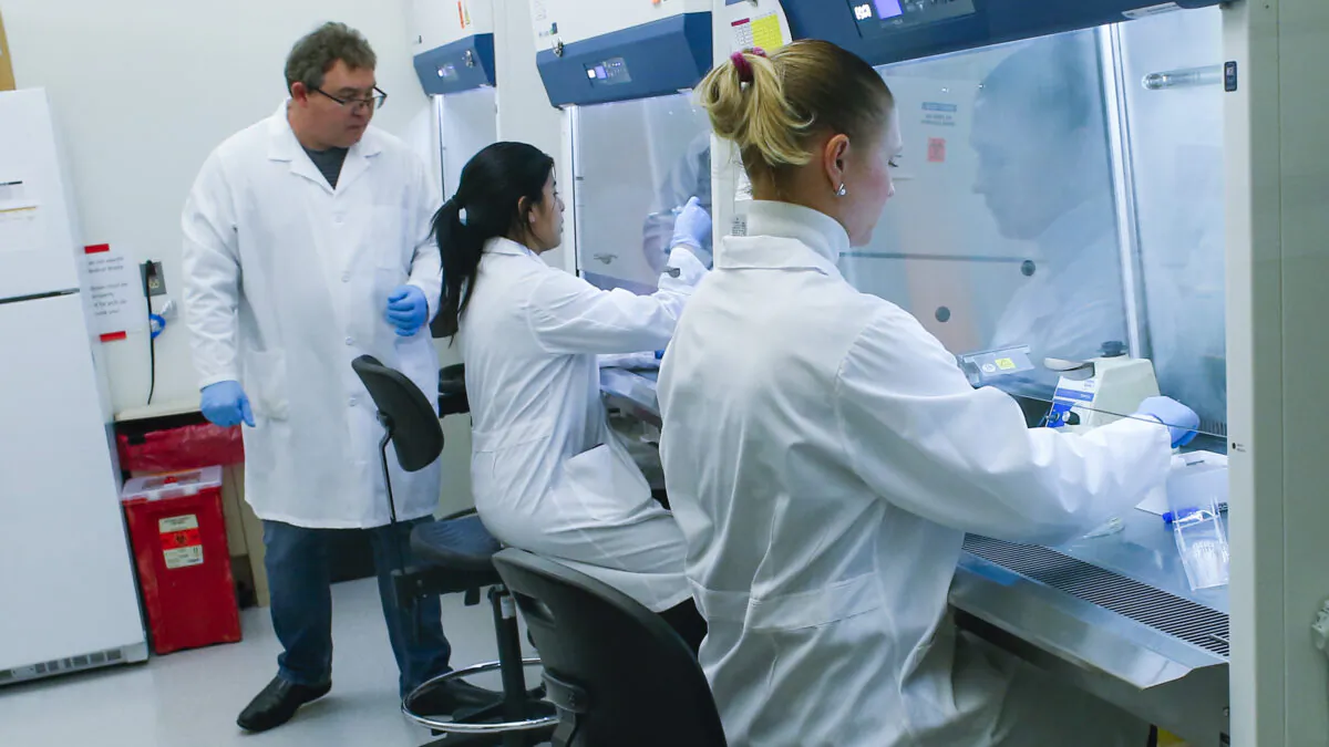 Hundreds of papers on COVID-19 which did not meet standards of editorial and scientific soundness have been removed. (Kena Betancur/Getty Images)