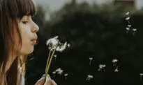 ‘Can’t Get No Satisfaction’: The Key to Contentment, According to Wisdom of the Past