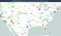 Mom Creates Website With Map to Track Coronavirus