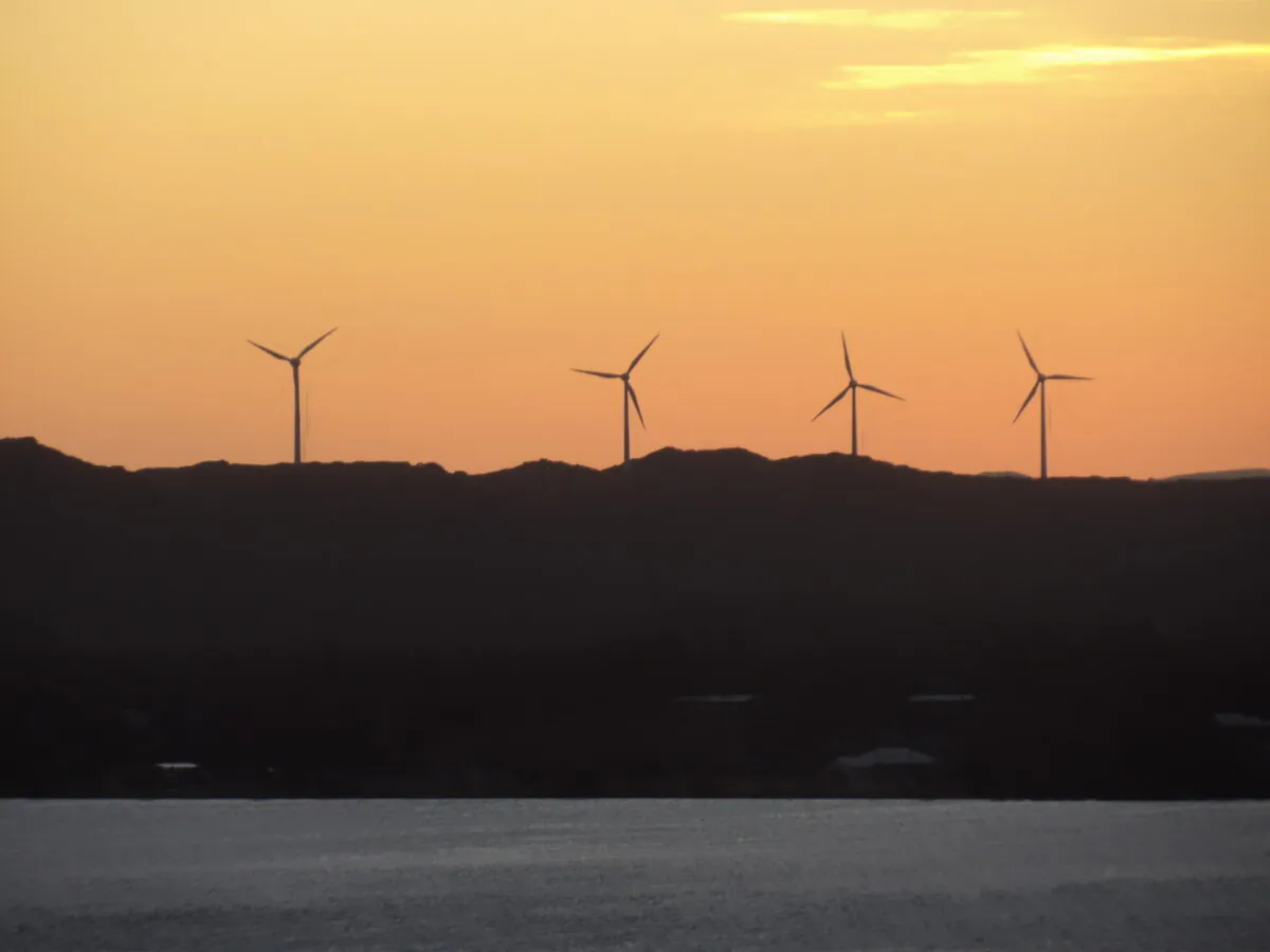 Wind turbines at sunset in Albany, Western Australia, on Feb. 6, 2024. (Susan Mortimer/The Epoch Times)