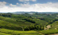 Meet the Kings of Italian Wine