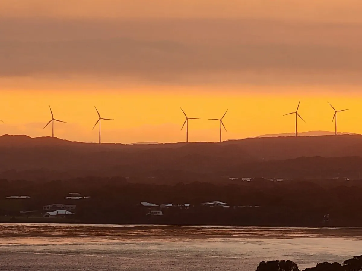 Wind turbines seen at sunset in Albany, Western Australia, on Oct. 8, 2024. (Susan Mortimer/The Epoch Times)