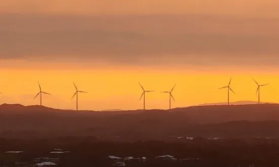 Australia Should Create More Renewable Energy Projects to Boost Power Security: Climate Council