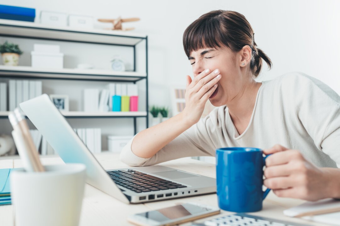 (Stokkete/Shutterstock)