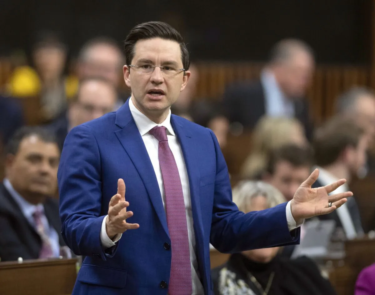 Conservative MP and finance critic Pierre Poilievre rises during question period in the House of Commons on Feb. 26, 2020, in Ottawa. (The Canadian Press/Adrian Wyld)