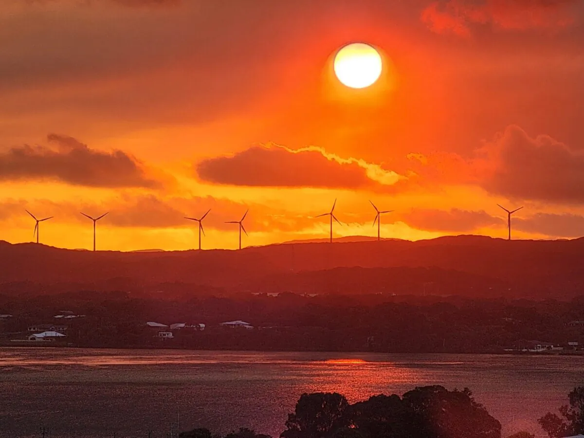 Wind turbines at sunset in Albany, Western Australia, on Nov. 4, 2024. (Susan Mortimer/The Epoch Times)