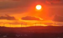 Commission Suggests Bringing More Industries Under Emissions Cap to Fast-Track Net Zero
