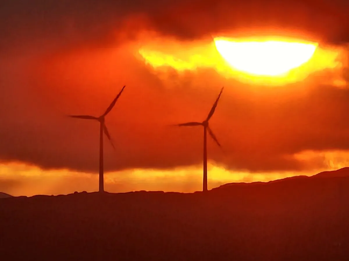 Wind turbines at sunset in Albany, Western Australia, on Nov. 4, 2024. (Susan Mortimer/The Epoch Times)