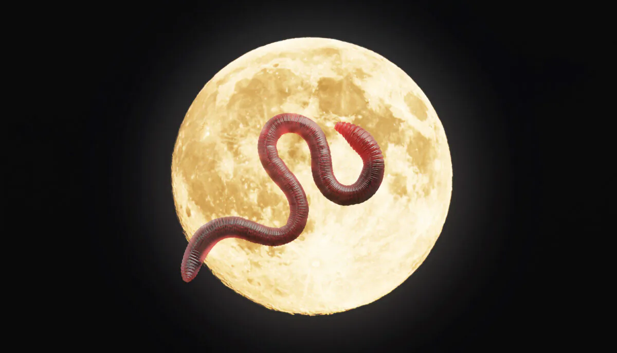 (Illustration - Shutterstock)  