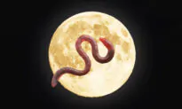 The ‘Super Worm Moon’ Shines Bright in the Night Sky on March 9–Here’s What You Need to Know