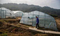 Chinese Farmers Dodge Coronavirus and Go Online for Spring Seeds and Supplies