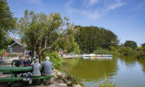 Golden Gate Park Celebrates Its 150th Birthday