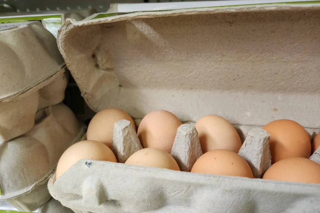 Eggs in a carton are seen at a supermarket in Albany, Western Australia, on June 10, 2024. (Susan Mortimer/The Epoch Times)