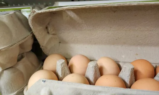 Bird Flu Attracts $6.9 Million for Surveillance and Potential Vaccines