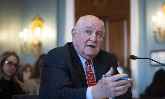 U.S. Secretary of Agriculture Sonny Perdue testifies during a House Agriculture Committee hearing in the Longworth House Office Building in Washington on March 4, 2020. (Drew Angerer/Getty Images)