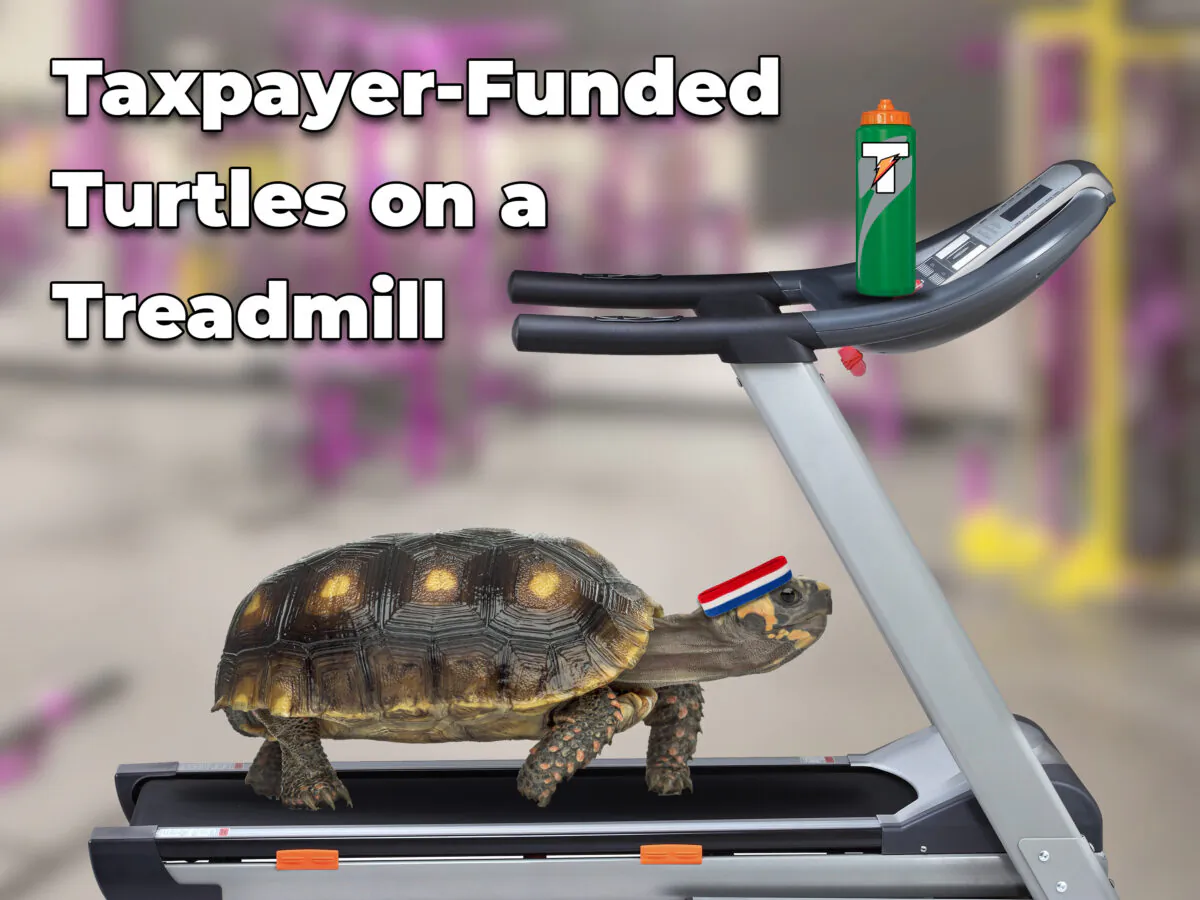 An image used by Sen. Joni Ernst (R-Iowa) in a speech on the floor of the Senate supporting her Billion Dollar Boondoggle Act of 2020, on March 11, 2020. (Courtesy Sen. Ernst)