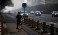China Automakers Seek Government Relief After February Sales Dive 79% on Coronavirus