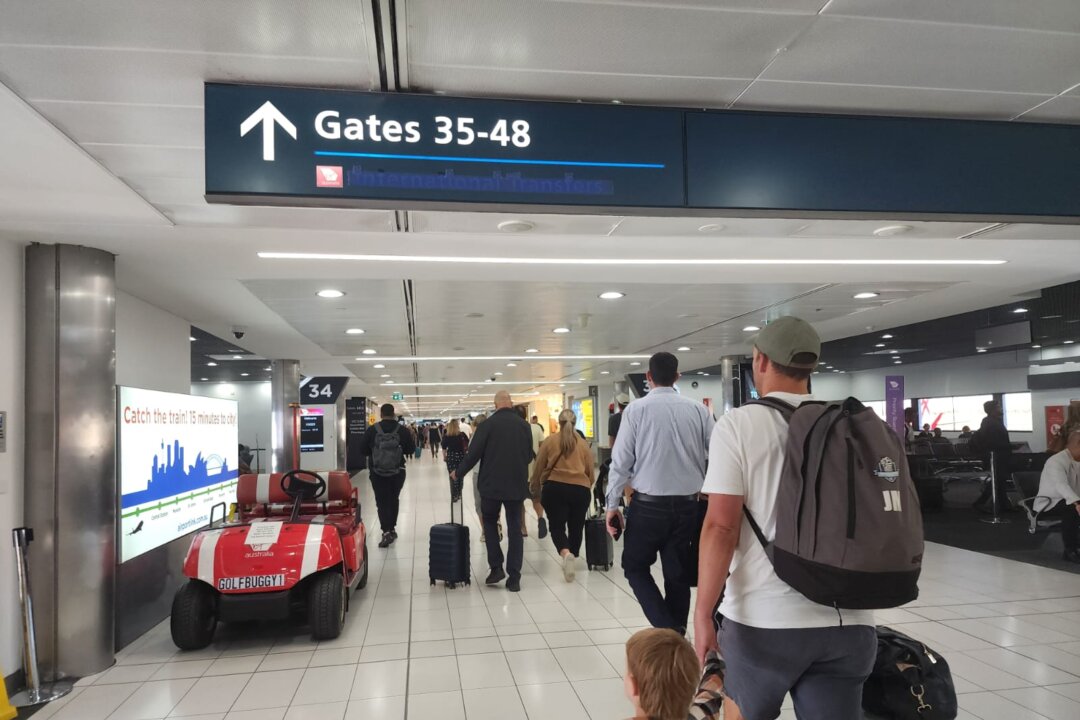 Visa Slowdown for Backpackers Amid Calls to Slash Migration