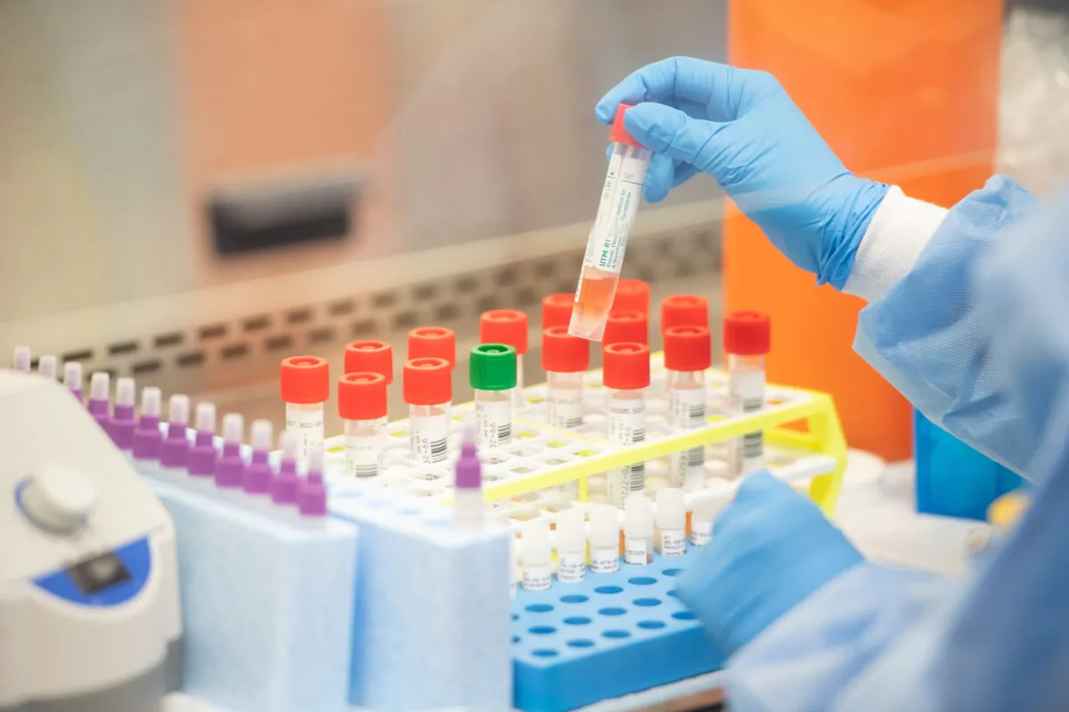 A lab technician begins semi-automated testing for COVID-19 at Northwell Health Labs in Lake Success, New York on March 11, 2020. (Andrew Theodorakis/Getty Images)
