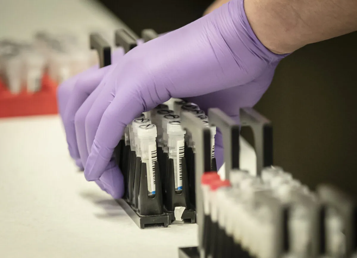 Samples are tested for respiratory viruses in a file photograph. (Danny Lawson/Pool/AFP via Getty Images)
