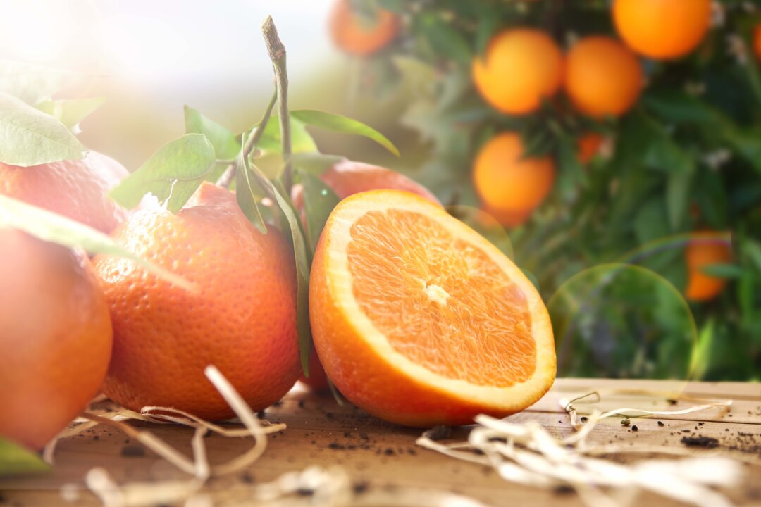 Every part of the orange, from its peel to its odor, has health benefits for human beings. (Davizro Photography/Shutterstock)