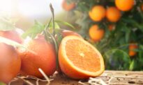 9 Health Benefits of Oranges Backed by Science