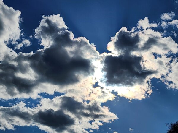 Epoch Times Photo