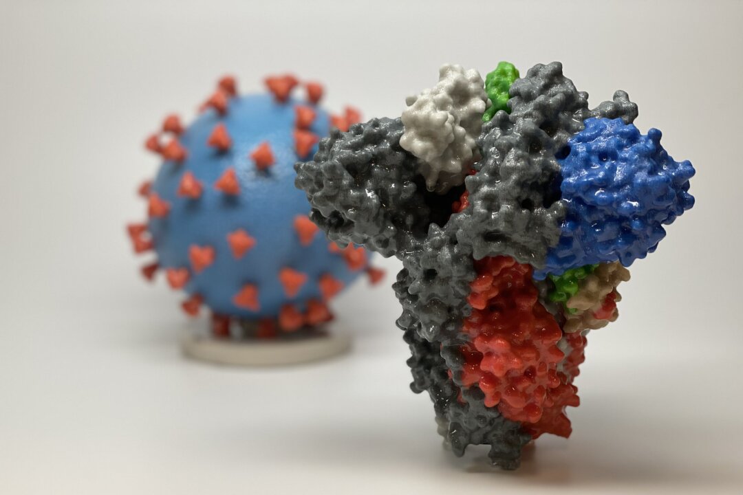 Natural Immunity Lasts for at Least 18 Months: Study