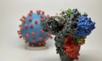 Will Omicron Be More Contagious Than Delta? A Virus Evolution Expert Explains What Researchers Know and What They Don’t