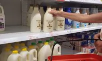 Dairy and Meat Drive New Zealand Food Prices Up 5 Percent as Cost Pressures Bite