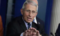American Micro-Efforts and Macro-Efforts Combat the Epidemic