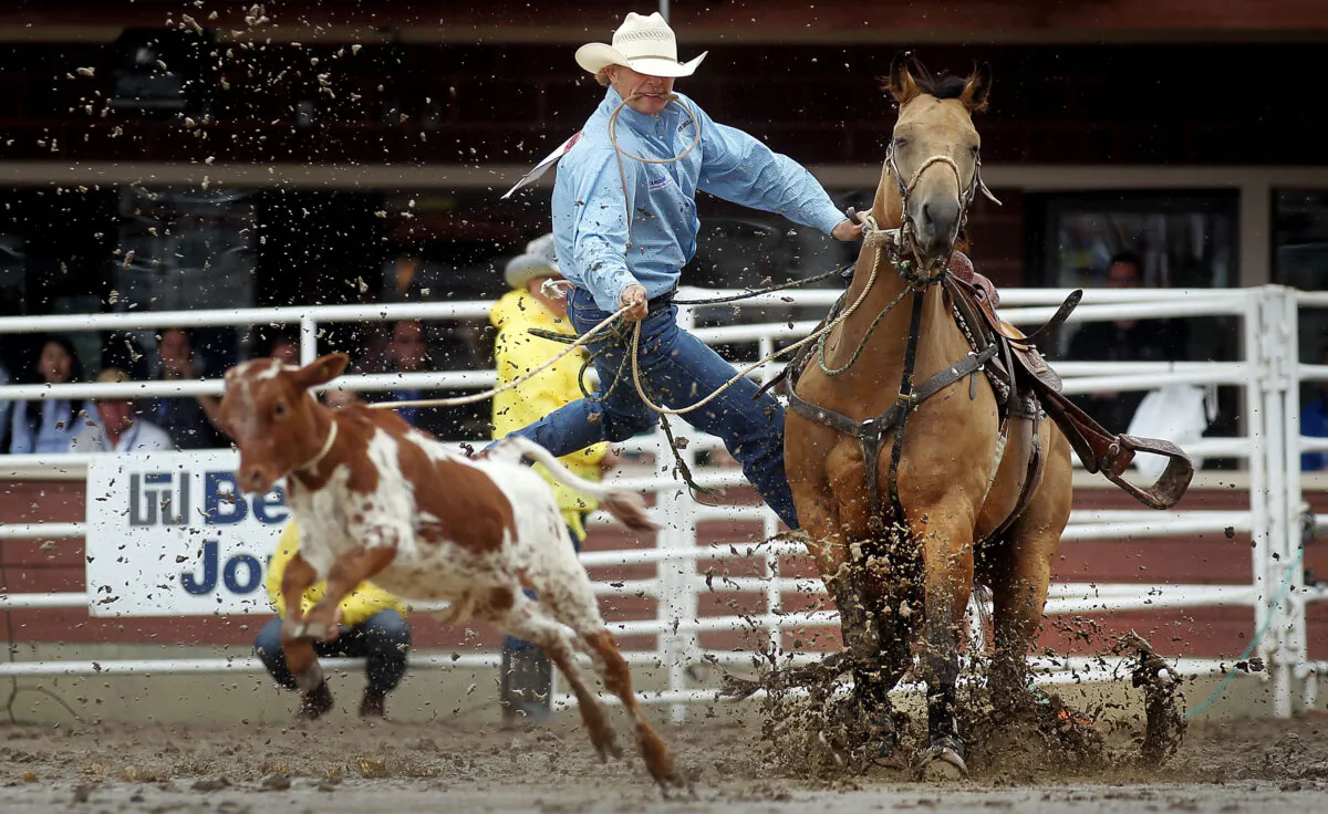 Clif Cooper leaps off his horse while chasing down a calf during the tie-down roping competition in the rodeo at the Calgary Stampede in Calgary, Alberta, Canada, on July 11, 2011. (Mario Tama/Getty Images)