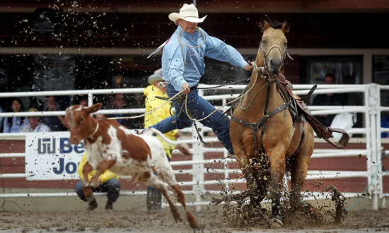 Sad Day for Calgary Stampede as 80 Percent of Workers Let Go