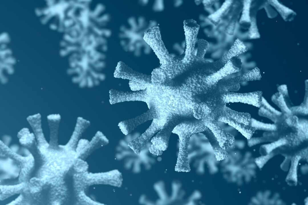 Coronavirus looks to be vulnerable to a zinc-based treatment already commonly used for other diseases. (Jezper/Shutterstock)