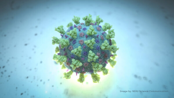 coronavirus