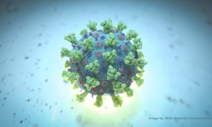 A computer image shows a model structurally representative of the type of virus linked to COVID-19, on Feb. 18, 2020. (NEXU Science Communication/via Reuters)