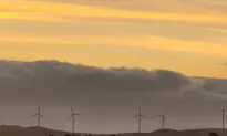 Queensland Introduces Bill to Set 75 Percent Emissions Reduction Target Into Law
