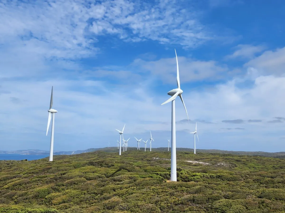 Wind turbines at the Albany Grasmere Wind Farm near the regional city of Albany, Western Australia, on Feb. 18, 2024. (Susan Mortimer/The Epoch Times)