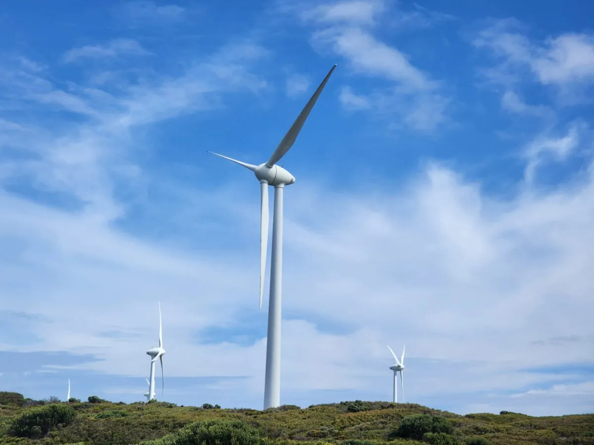 Wind turbines in Albany, Western Australia, on Feb. 18, 2024. (Susan Mortimer/The Epoch Times)