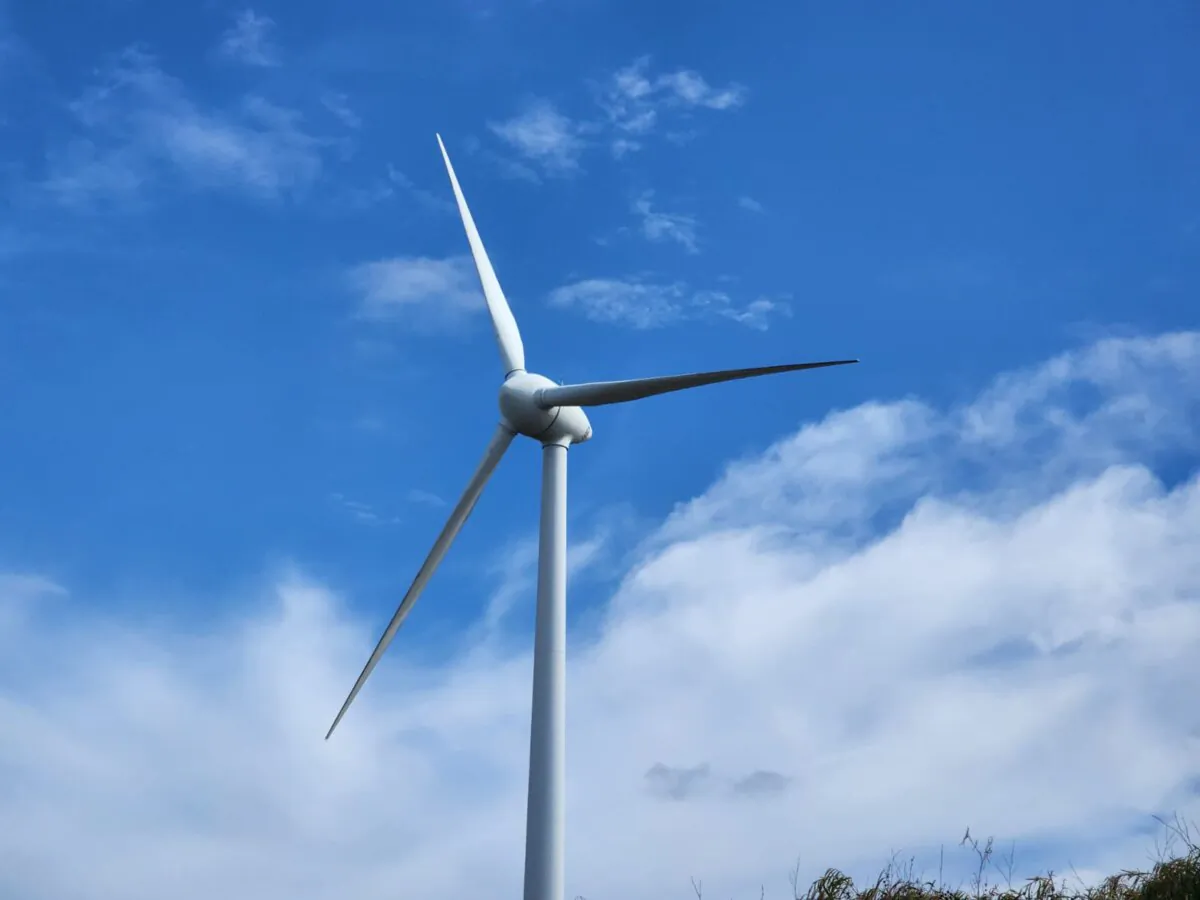 A wind turbine in Albany, Western Australia, on Feb. 18, 2024. (Susan Mortimer/The Epoch Times)