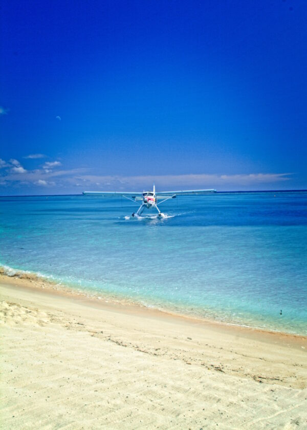 Epoch Times Photo