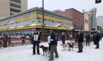 Norwegian Musher Achieves Boyhood Dream, Wins Iditarod Race