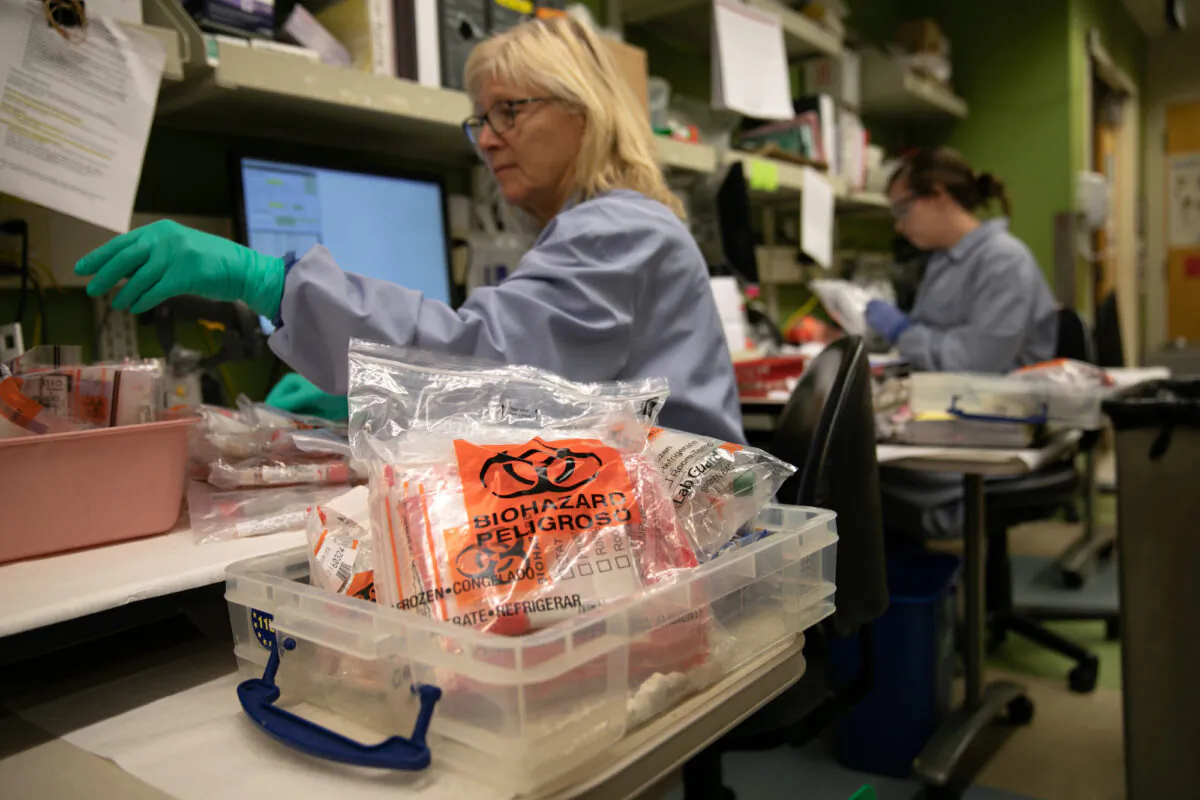 A medical laboratory scientist receives packets of bio samples at the University of Washington Medicine virology lab in Seattle, Washington on March 13, 2020. (John Moore/Getty Images)