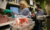 University Labs Expand COVID-19 Testing Capacity, Screening Thousands Each Day