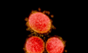 Mainland Chinese Endorse the Idea of Renaming COVID-19 to the ‘CCP Virus’