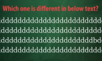 How Quickly Can You Find the ‘Odd One Out’ in This Mind-Boggling Picture Puzzle?