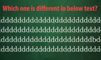 How Quickly Can You Find the ‘Odd One Out’ in This Mind-Boggling Picture Puzzle?