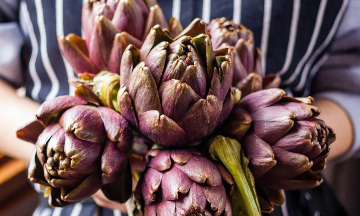 A bouquet of fresh artichokes. (Giulia Scarpaleggia)