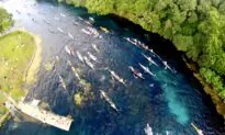 Texas’s Best-Kept Secret: San Marcos