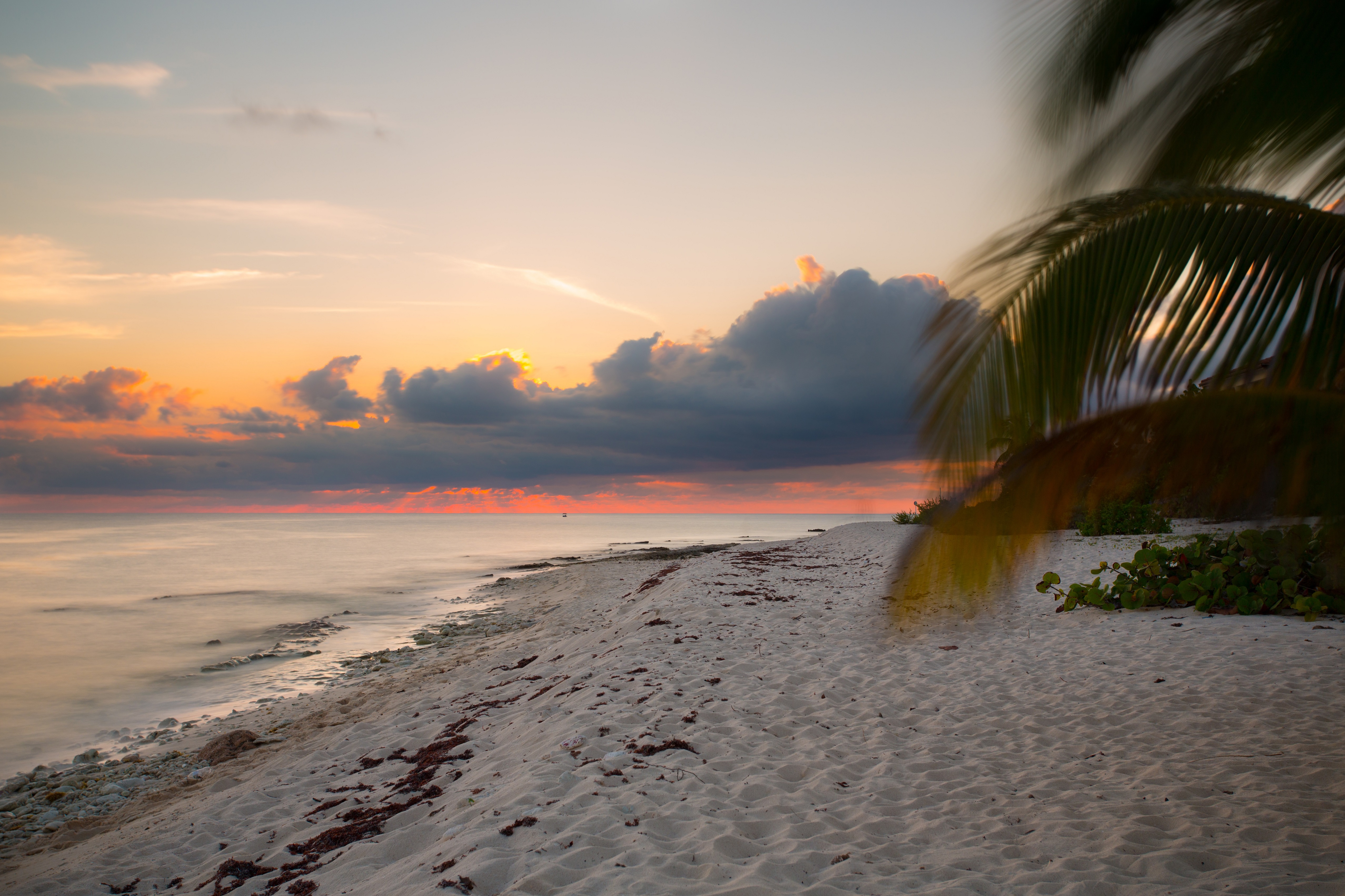Sundown on the beach at Little Cayman - Will Burrard-Lucas
